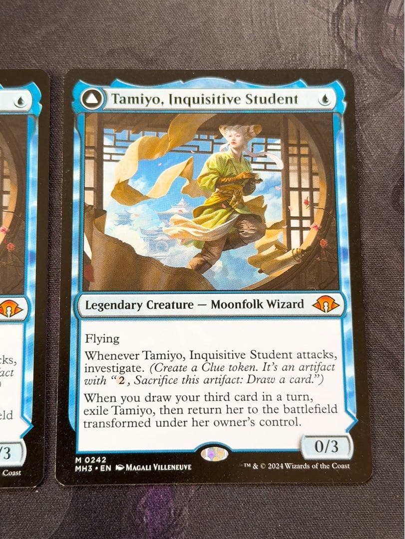 知りたがりの学徒、タミヨウ　英語　2枚セット