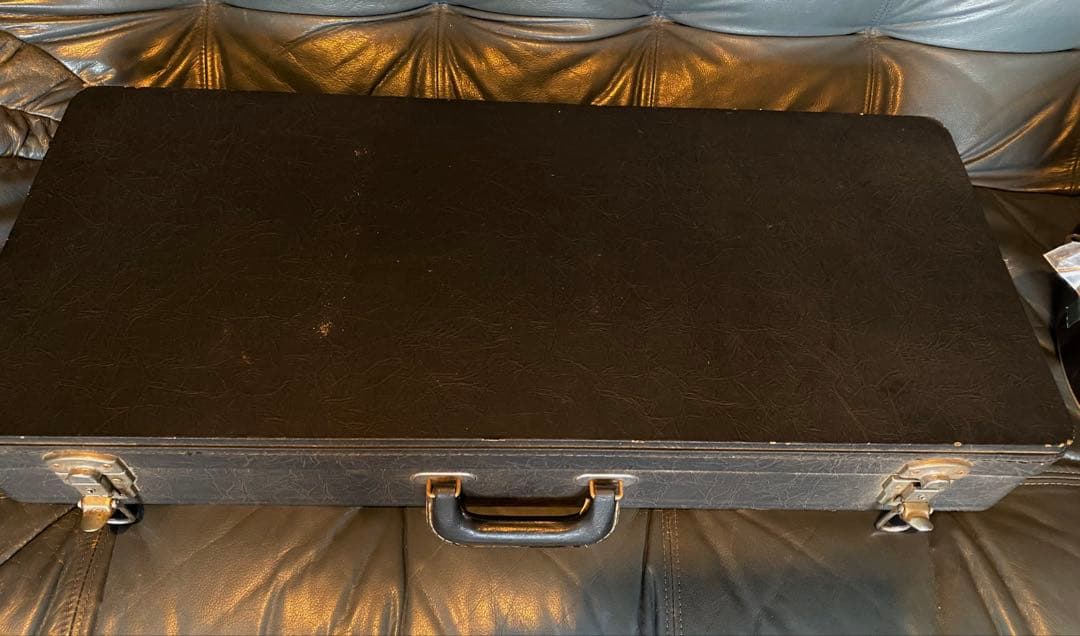 StaffordスタッフォードF-Style エレクトリック・フラットマンドリン