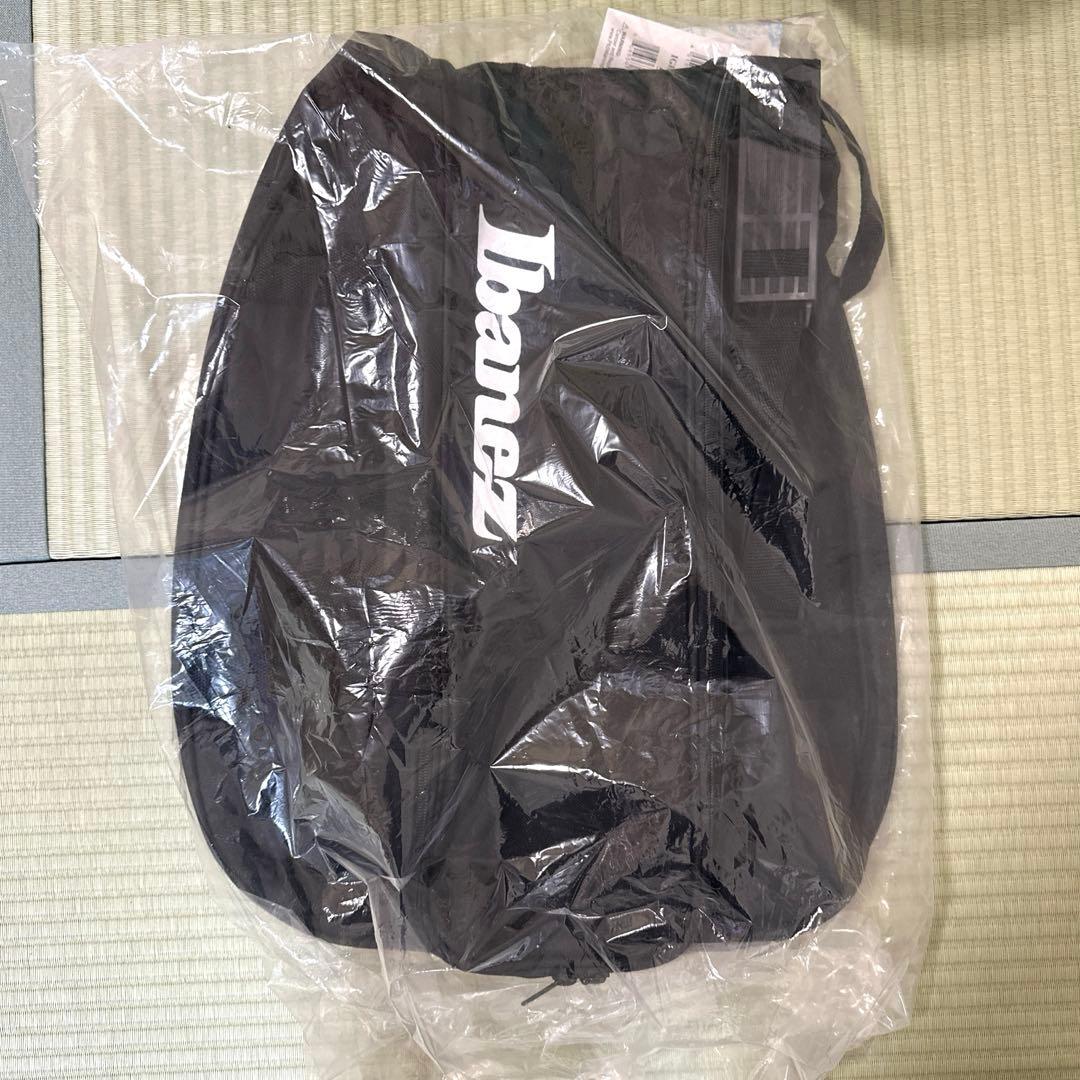 Ibanez エレキギター ミントグリーン