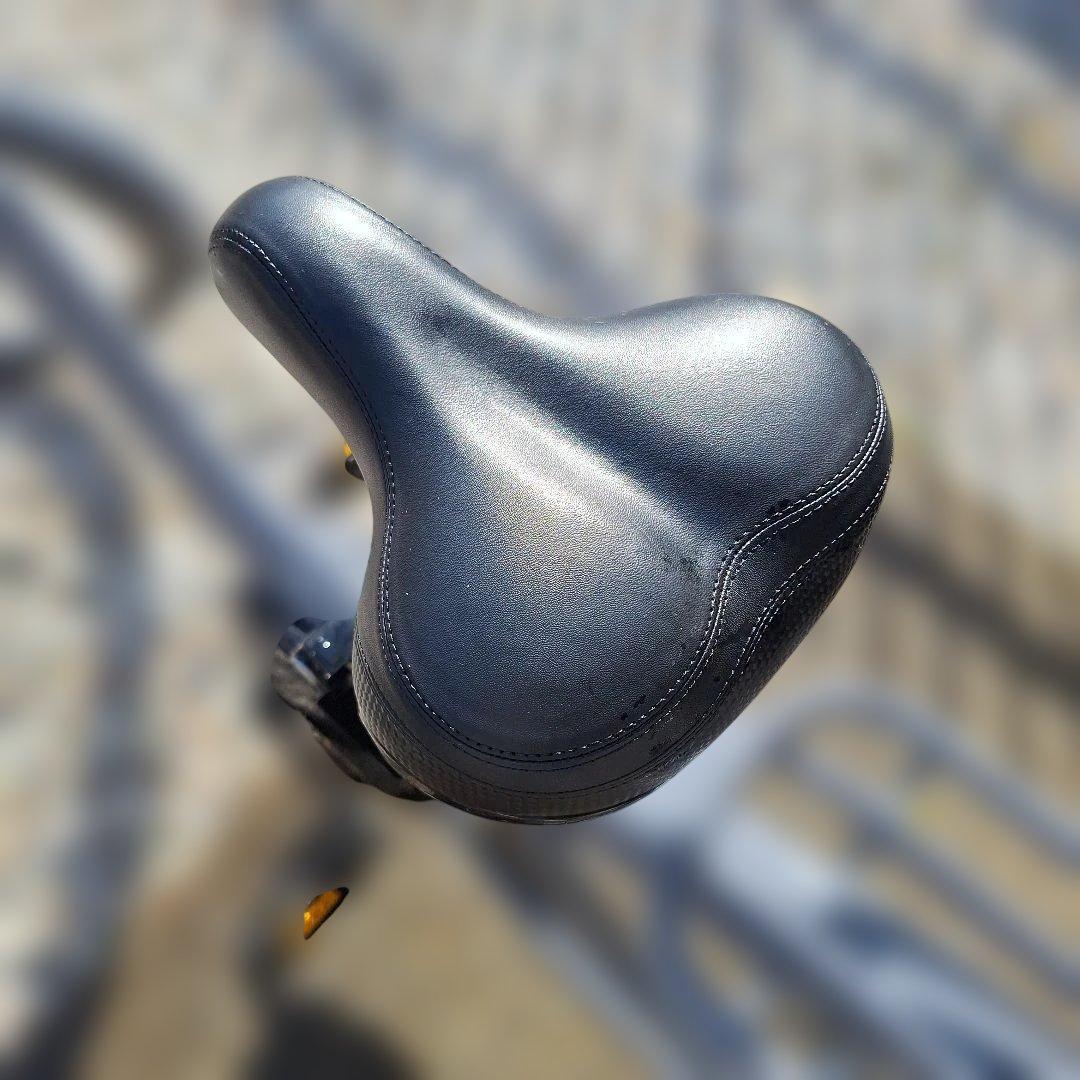 PAS RIN 電動アシスト自転車 グレー