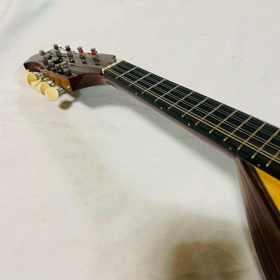 落合忠男 マンドリン M4 1994年 ハードケース付き