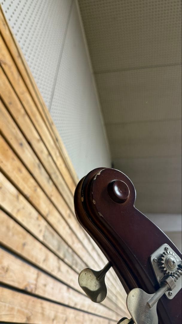 YAMAHA SLB100 【専用ソフトケース＋専用スタンド付き】