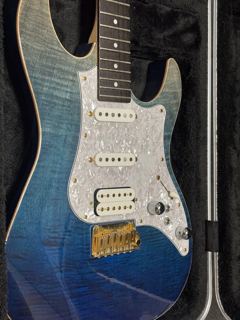 ギター (Fujigen) Expert OS(EOS)