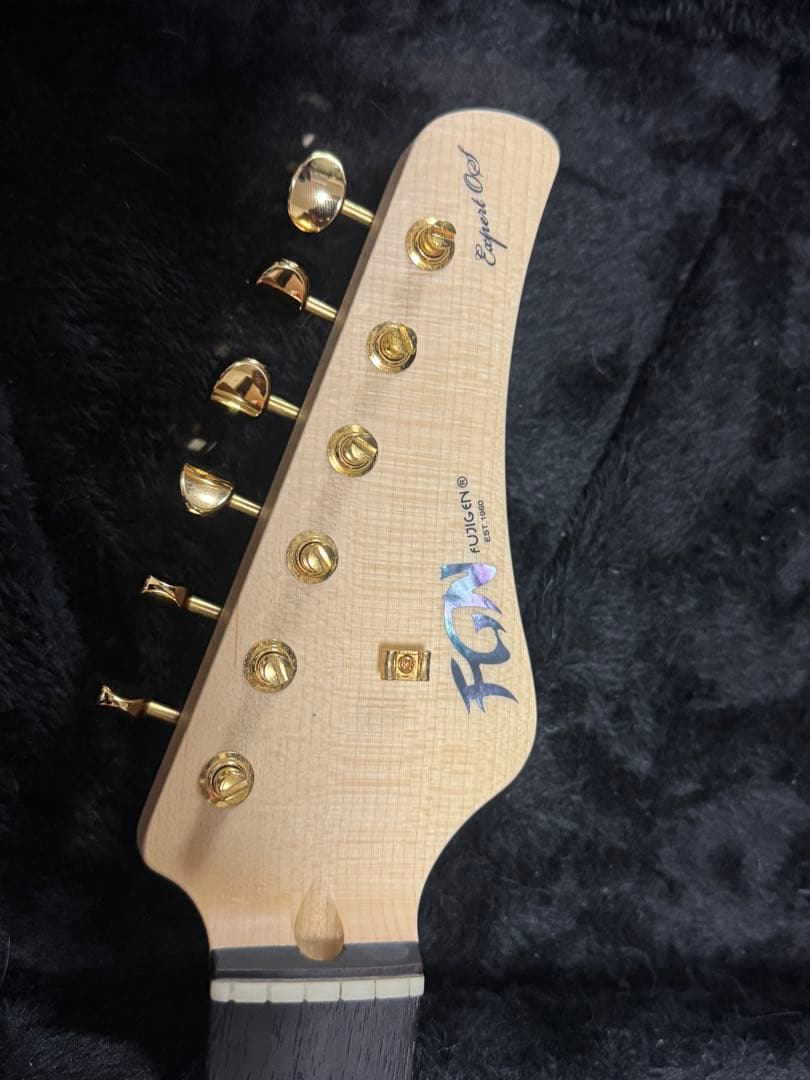 ギター (Fujigen) Expert OS(EOS)