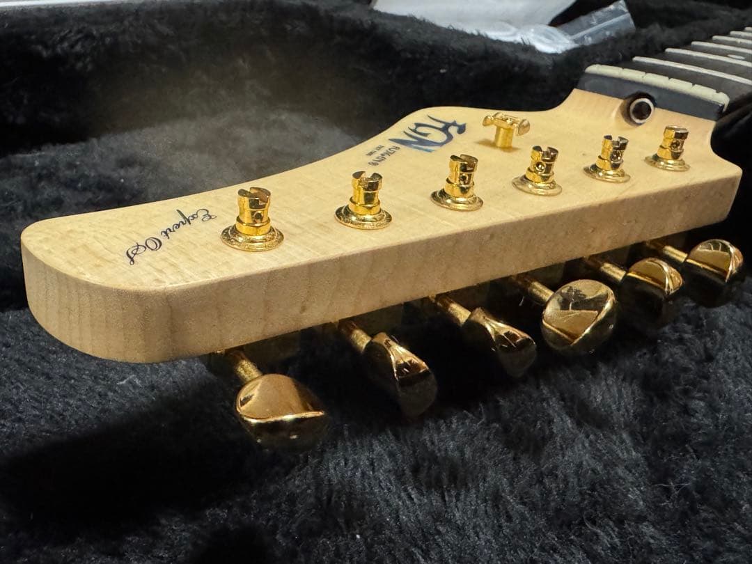 ギター (Fujigen) Expert OS(EOS)