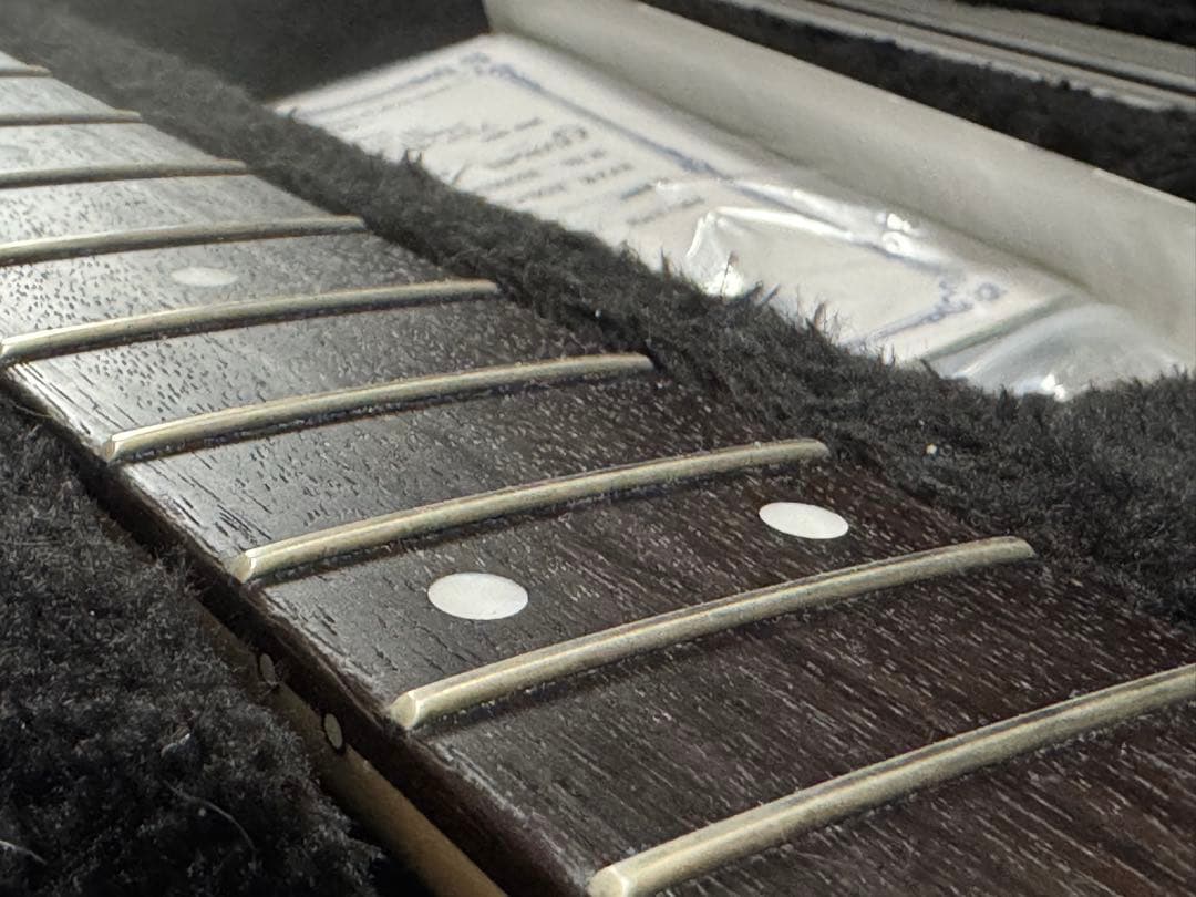 ギター (Fujigen) Expert OS(EOS)