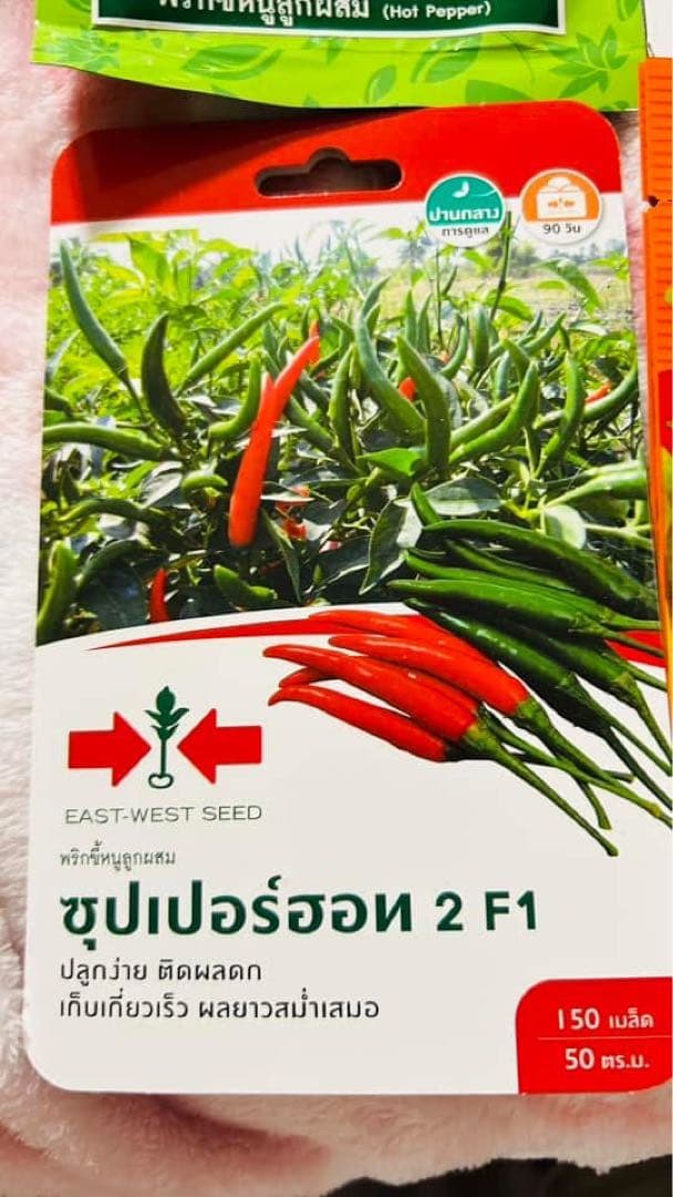 自宅栽培　激辛　タイ唐辛子　10kg