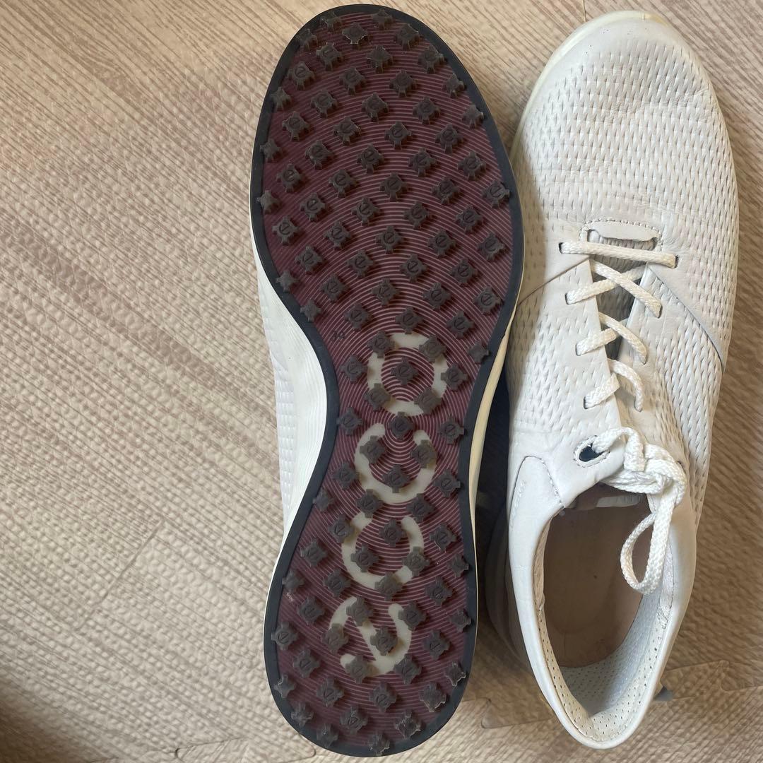 【未使用】24.5cm ECCO ゴルフシューズ ホワイト