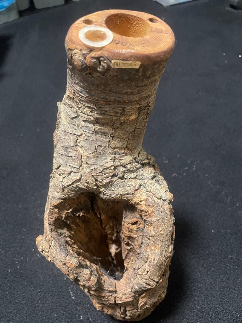 【激レア】　非売品　森兵衛　天然　シェルター