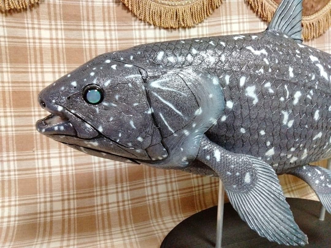 ハンドメイド　61cmシーラカンス　フィギュア　レプリカ　化石魚　古代魚　置物