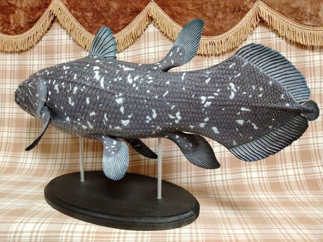 ハンドメイド　61cmシーラカンス　フィギュア　レプリカ　化石魚　古代魚　置物