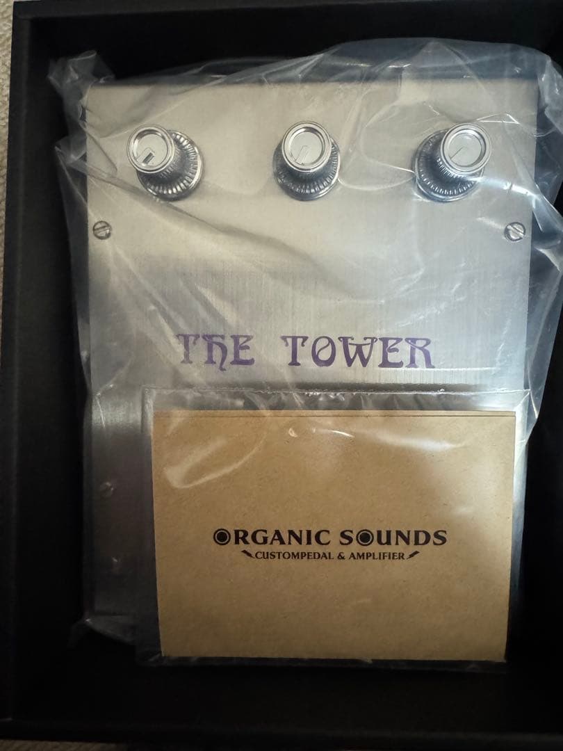 ギター organic sounds the big tower