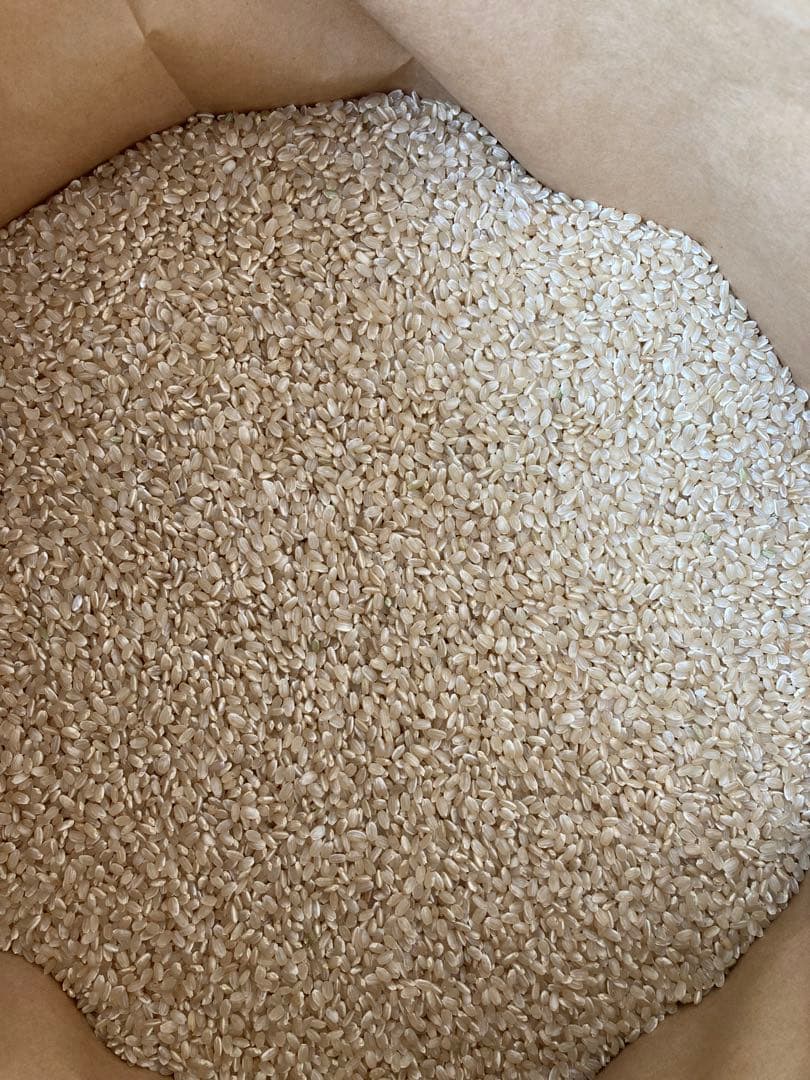 朝日米　自然栽培　玄米　10kg
