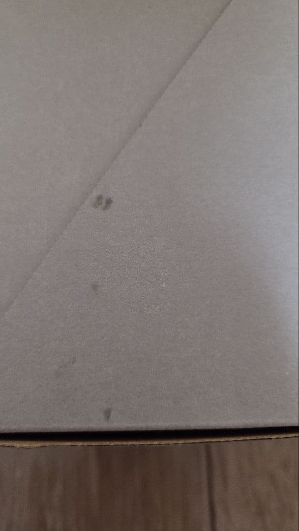 Romi ロミィ 会話AIロボット ROMI-P02