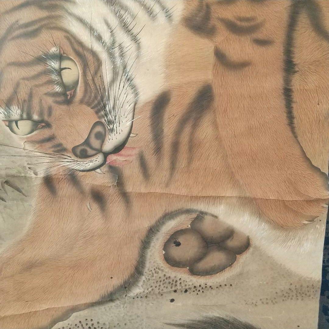 江戸絵画  虎  掛け軸  肉筆  江戸時代  貴重  骨董  茶道具