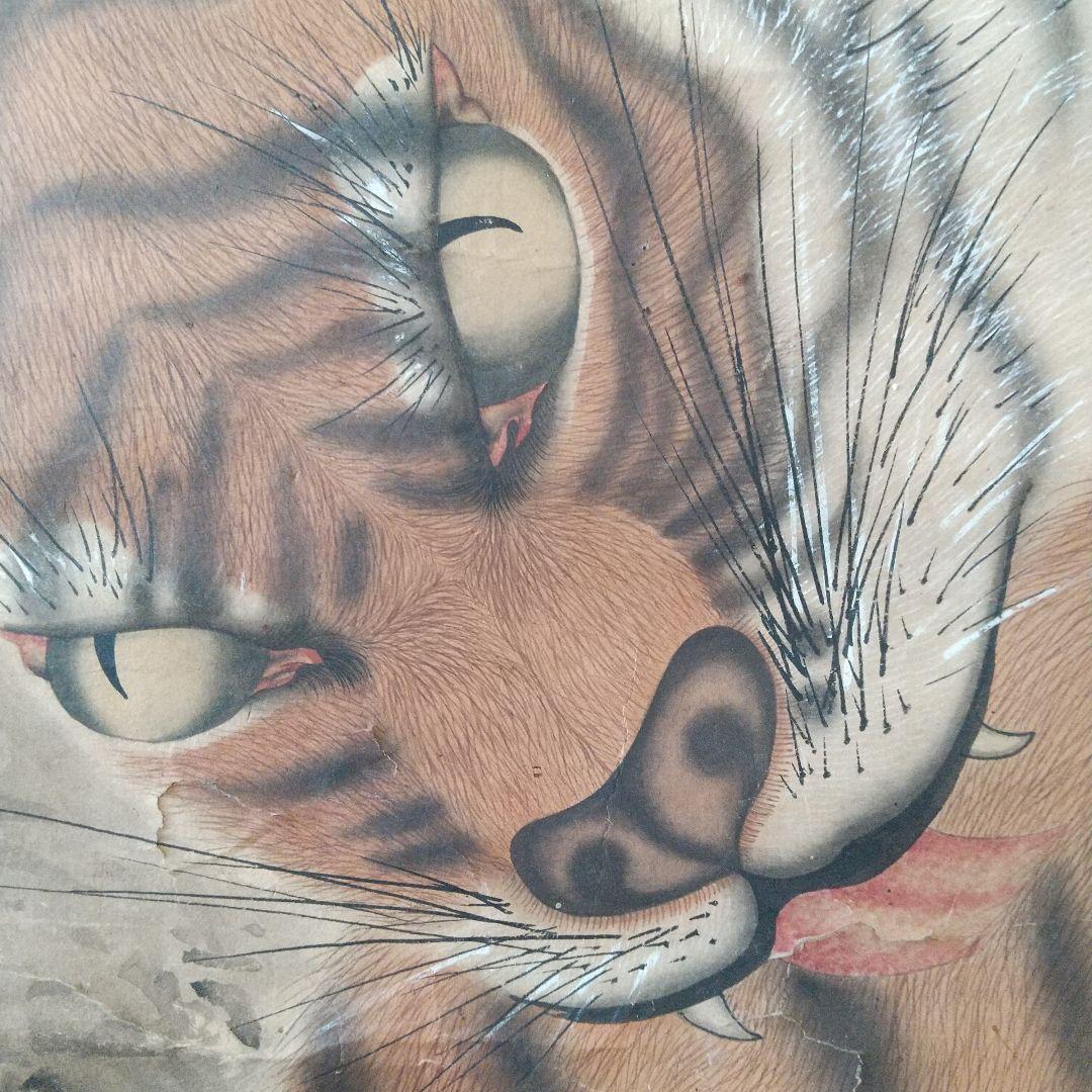 江戸絵画  虎  掛け軸  肉筆  江戸時代  貴重  骨董  茶道具