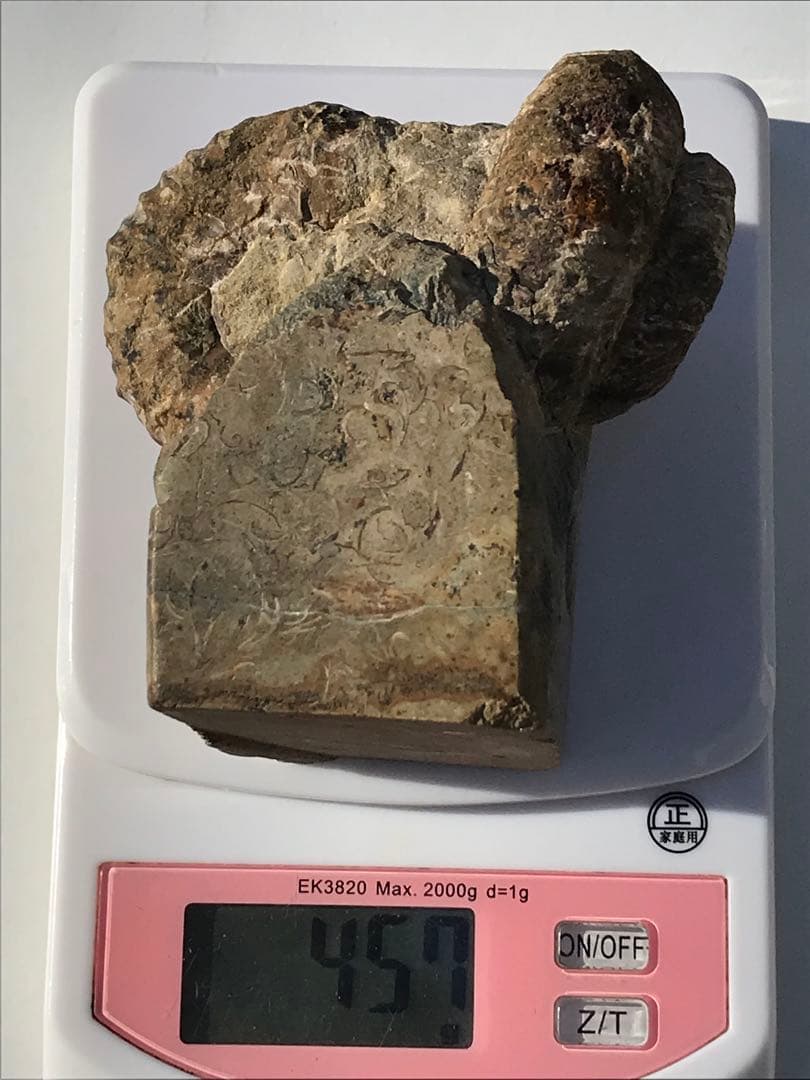 【限定出品】マダガスカル産　異常巻きアンモナイト化石（ノストセラス）　稀少