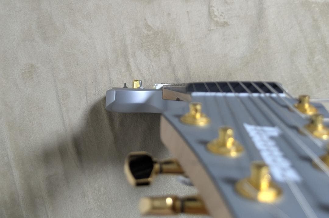 ギター Ibanez / RGDMS8 CSM