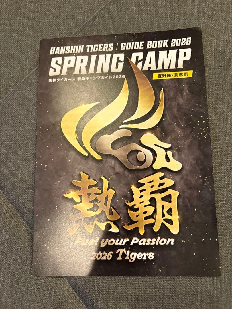 阪神タイガース 沖縄キャンプ限定ユニフォーム