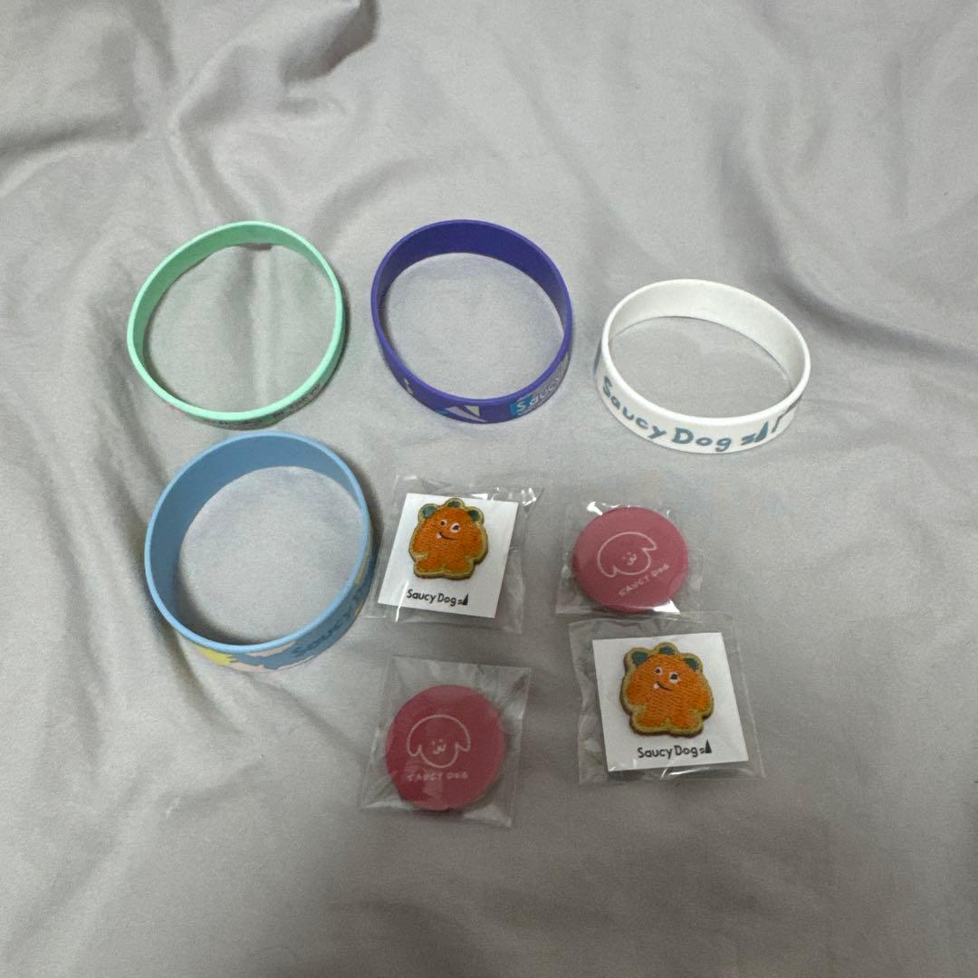 ミュージシャン SaucyDog