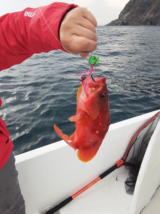 タイラバヘッド  タングステン　新色