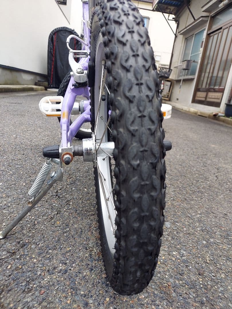 LOUIS GARNEAU ルイガノ パープル 引き取り限定