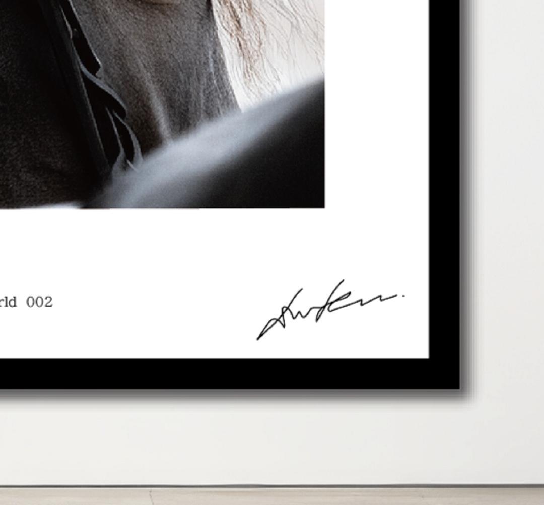 馬・No.002／アートポスター