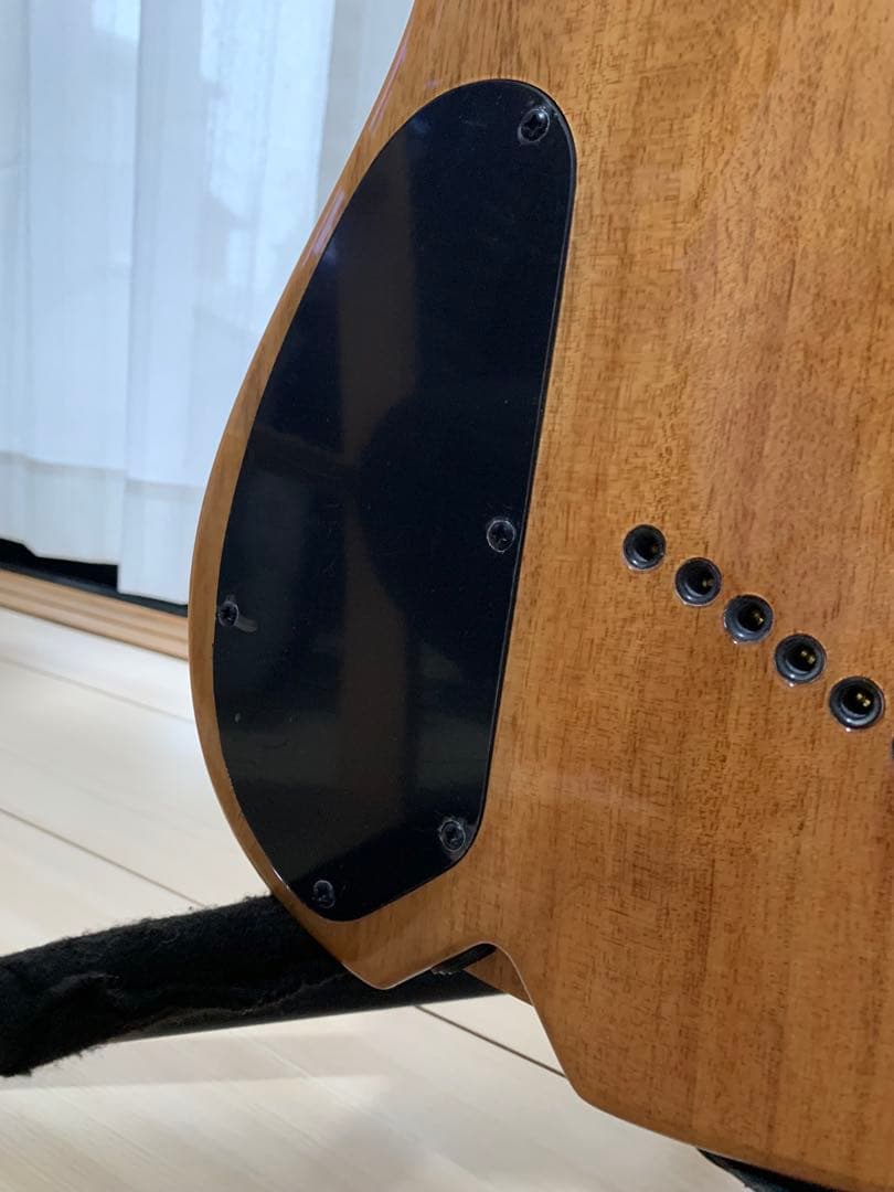 Ormsby FUTURA 6弦 ファンフレット エレキギター