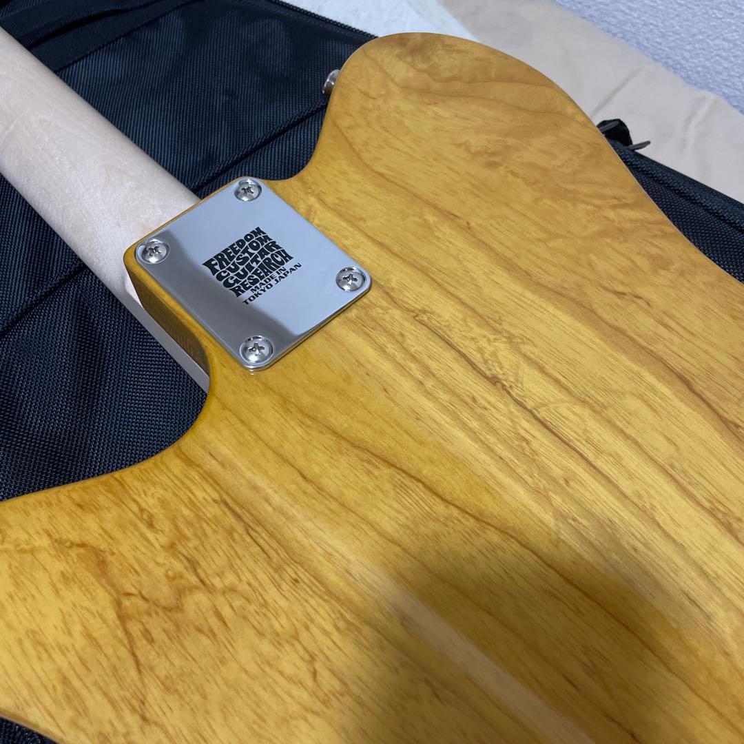 ギター FREEDOM CUSTOM GUITAR RESEARCH Shaker