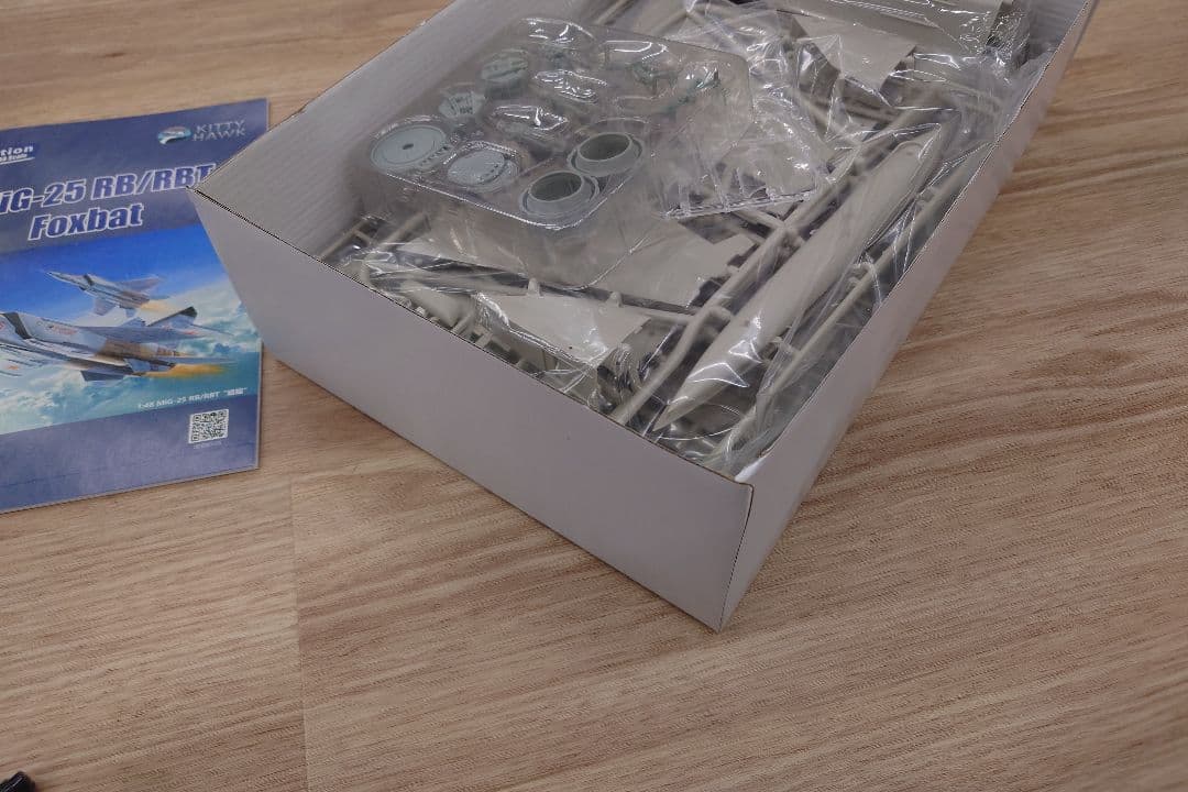 MiG-25 RB/RBT Foxbat 1/48 スケール
