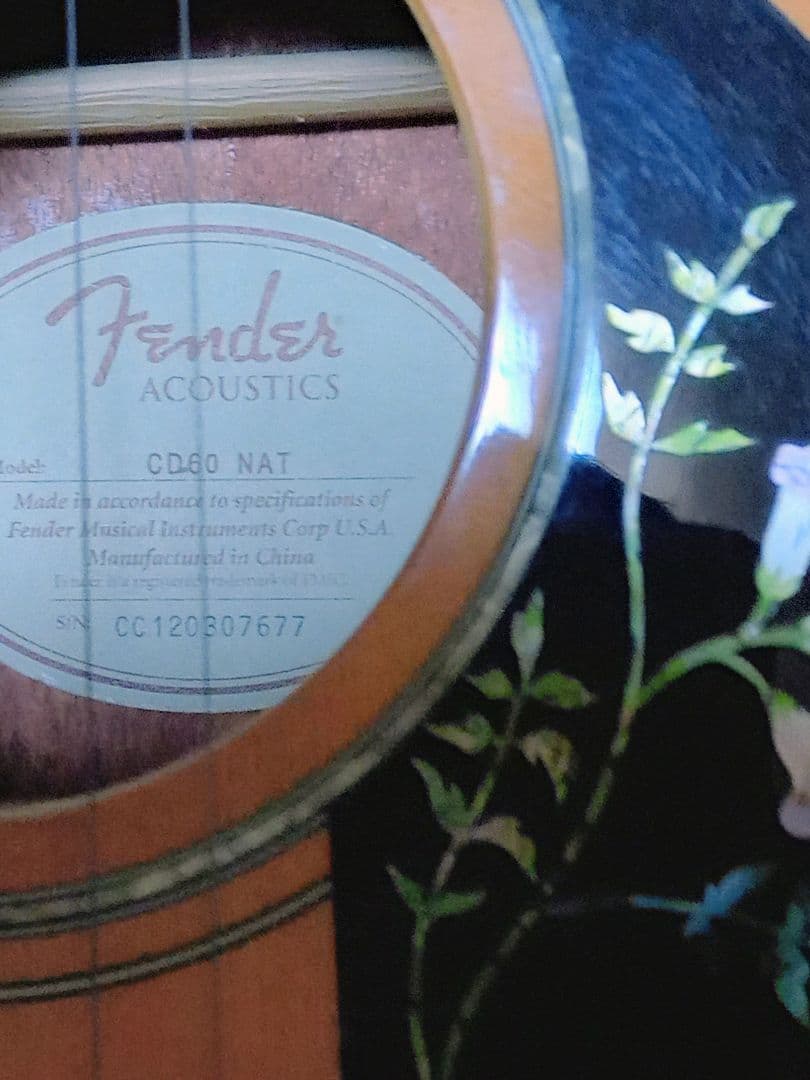 フェンダー　アコーステックギター