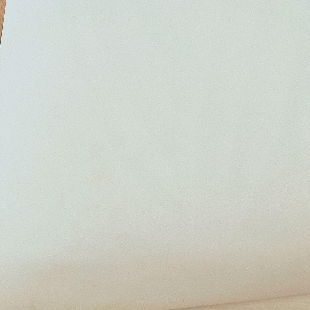 THE POSTER CLUB Sofia Lind アートポスター50x70