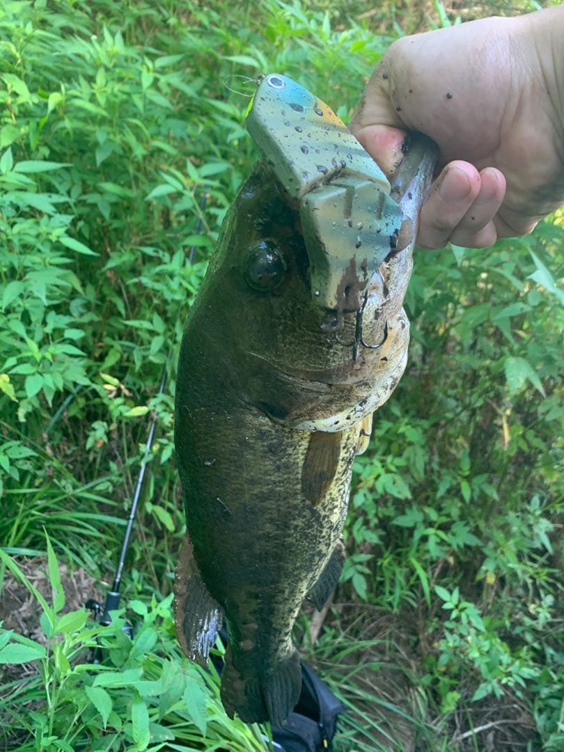 専用　UFギル　ハンドメイドルアー