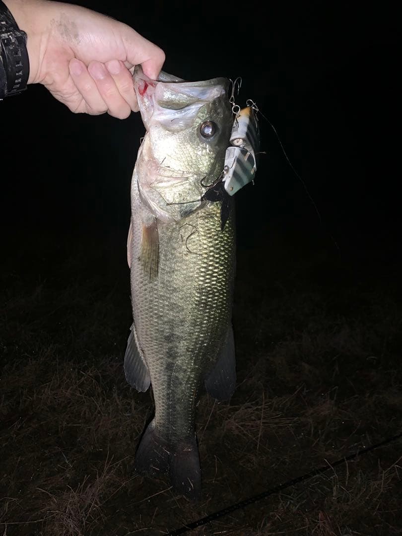 専用　UFギル　ハンドメイドルアー