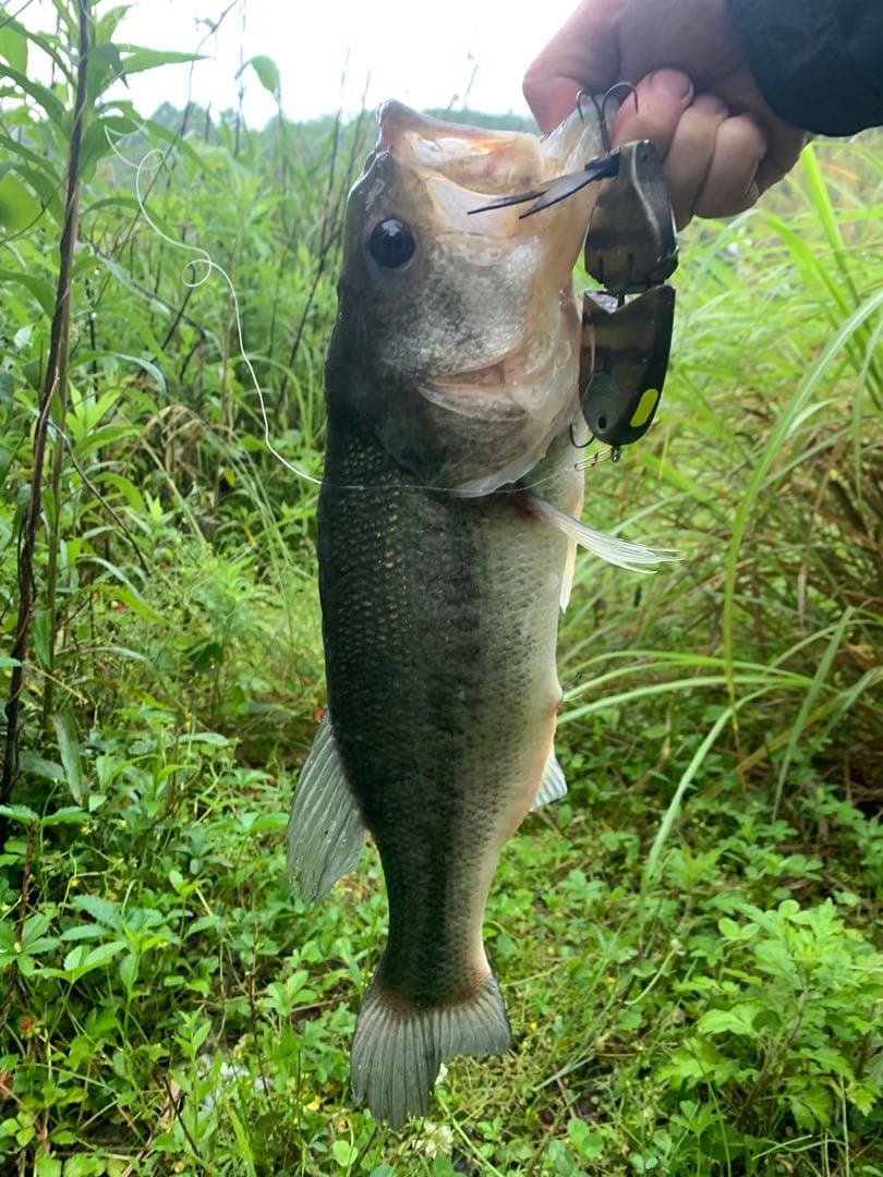 専用　UFギル　ハンドメイドルアー