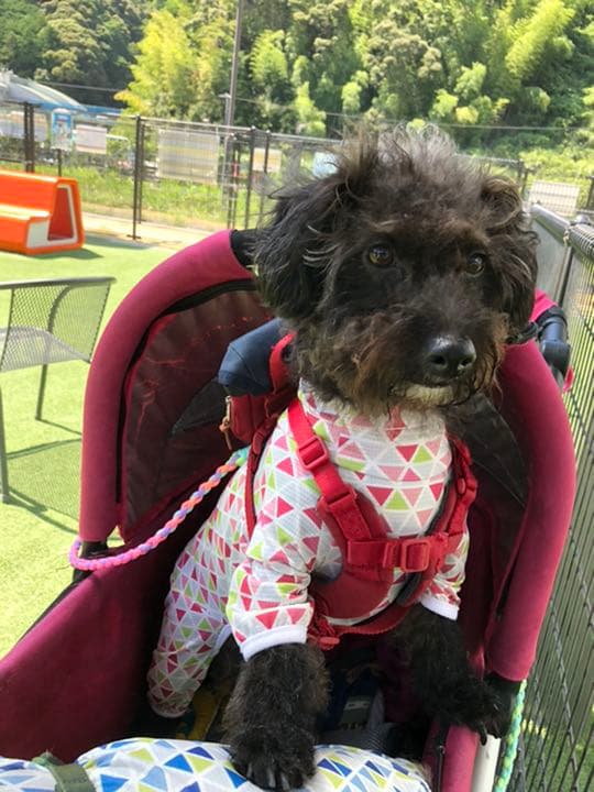 小夏確認用写真