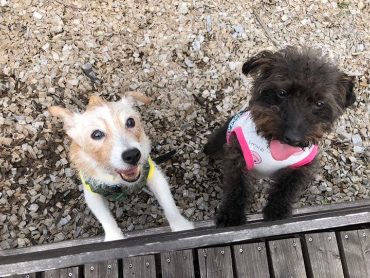 小夏確認用写真