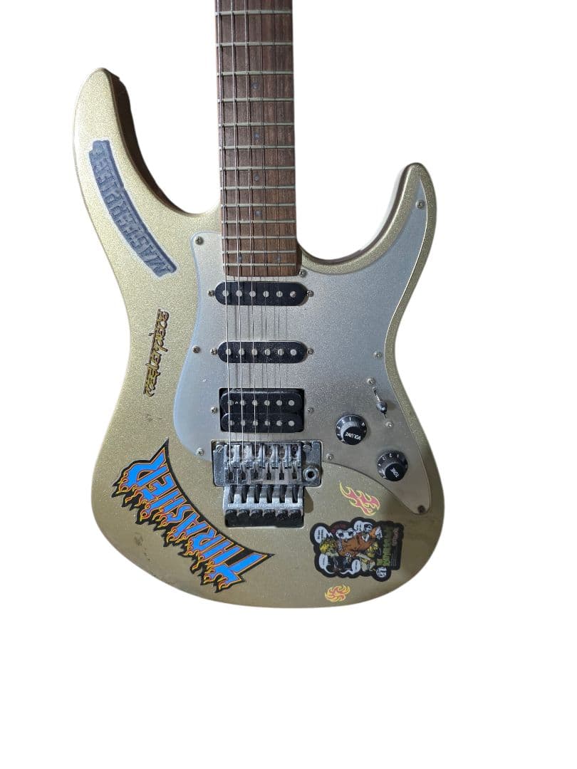 TARGET by FERNANDES HSS エレキギター