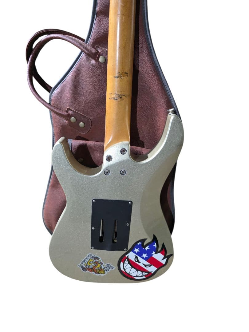 TARGET by FERNANDES HSS エレキギター