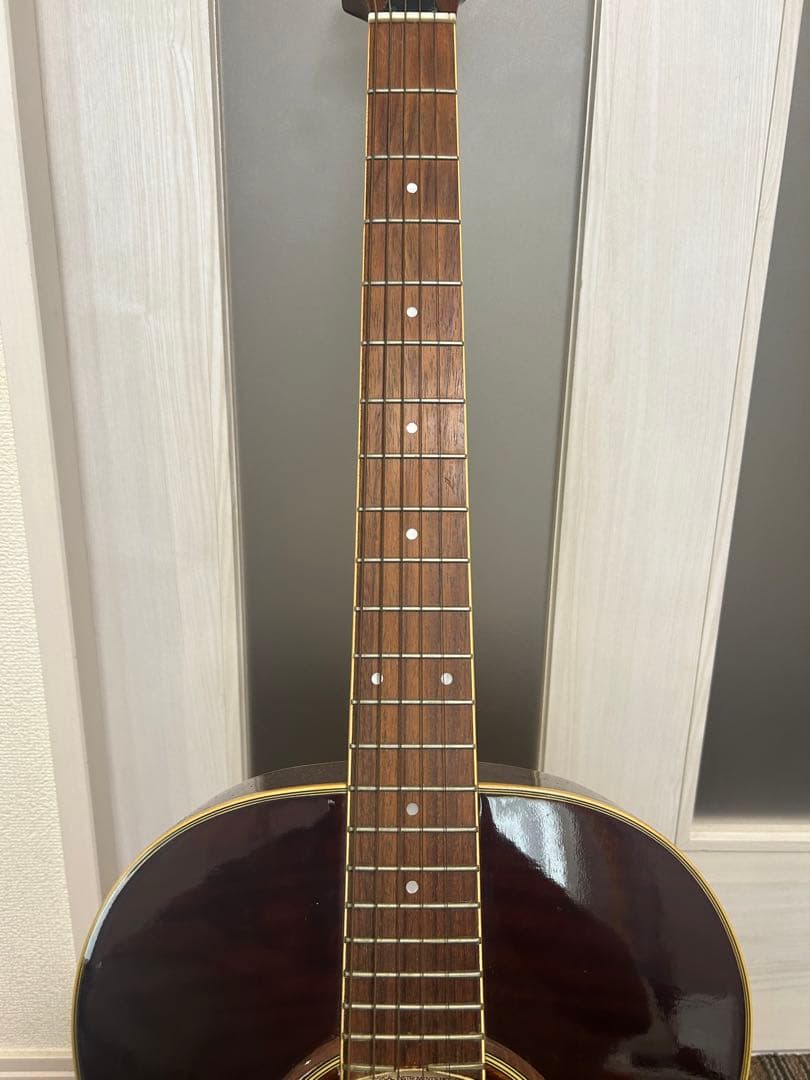 Samick FP 500BRSB アコースティックギター