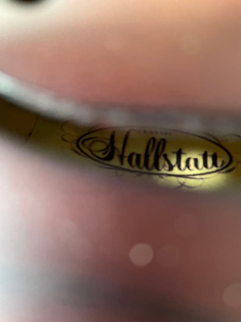 ビオラ　カルロジョルダーノ(VL-1)