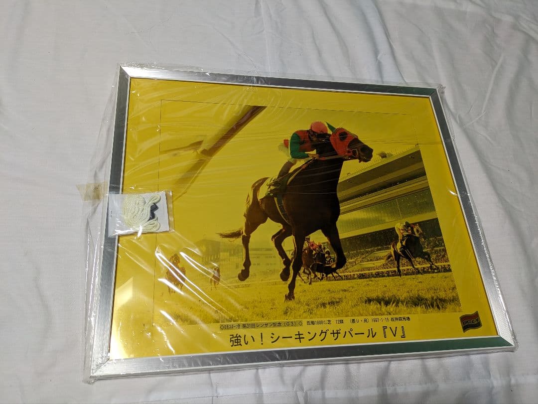 シーキングザパール　武豊　競走馬　写真パネル　額縁入り　スポーツ新聞付き