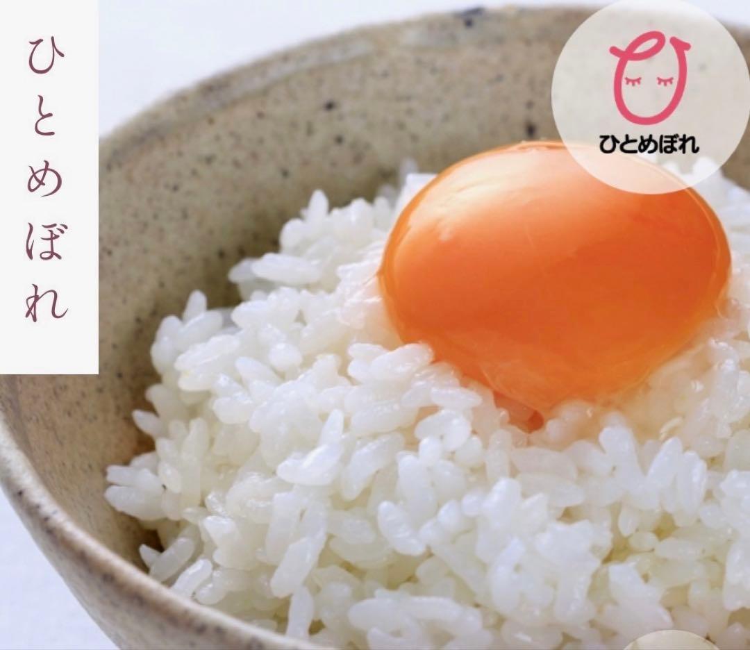 お米　特別限定価格！白米【令和7年産岩手県産ひとめぼれ10kg】5kg×2