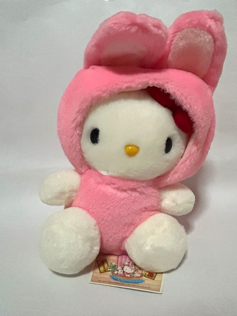 【激レア・タグ付き】アキ13点