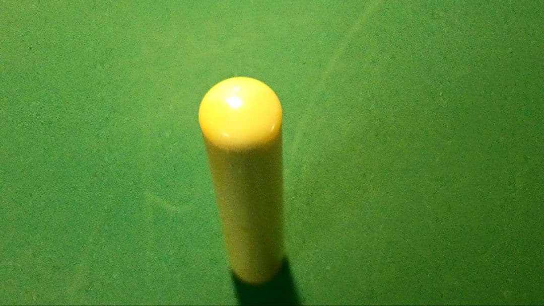 マッコウ鯨　マッコウ　鯨歯　クジラの歯　牙　印材　希少　約10.6g程度　印鑑