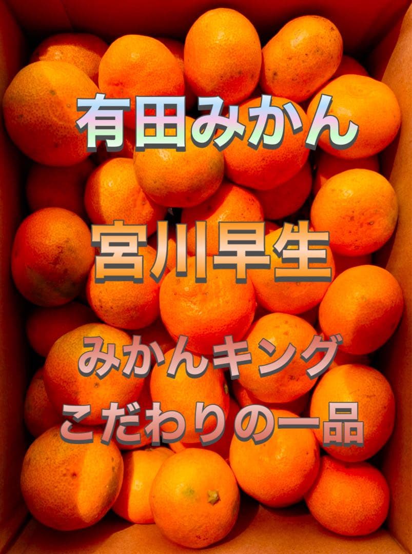 専用出品　あんず様5kg