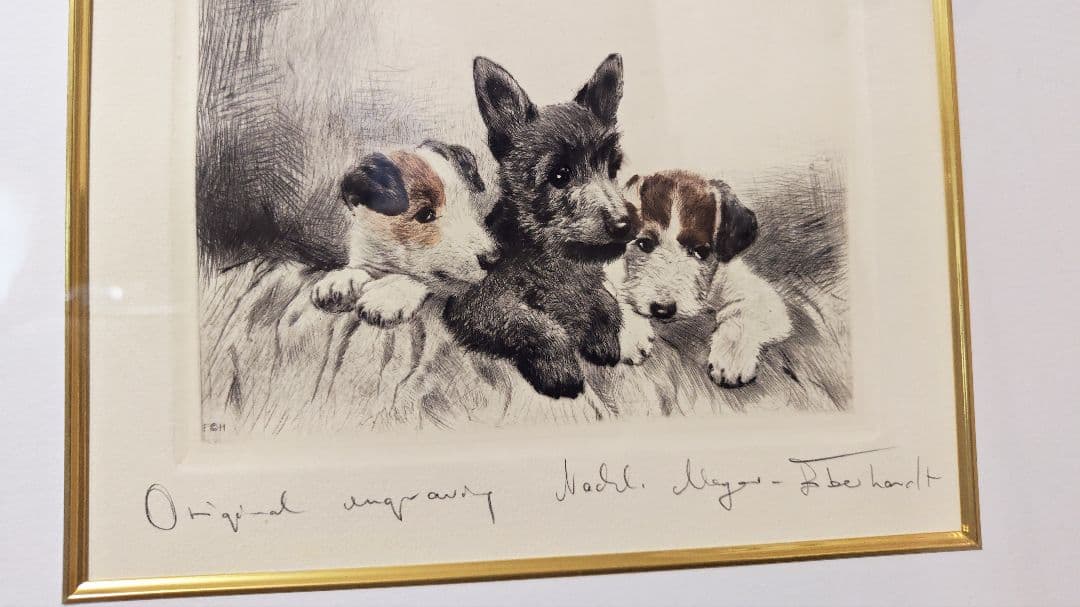 ヴィンテージ銅版画  Meyer Eberhardt 「3匹のテリア犬」
