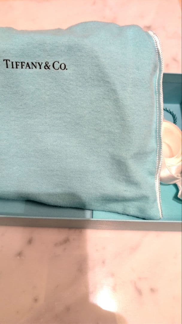 ■試着のみ 新品未使用 TIFFANY 首輪+リードセット Lサイズ 中〜大型犬