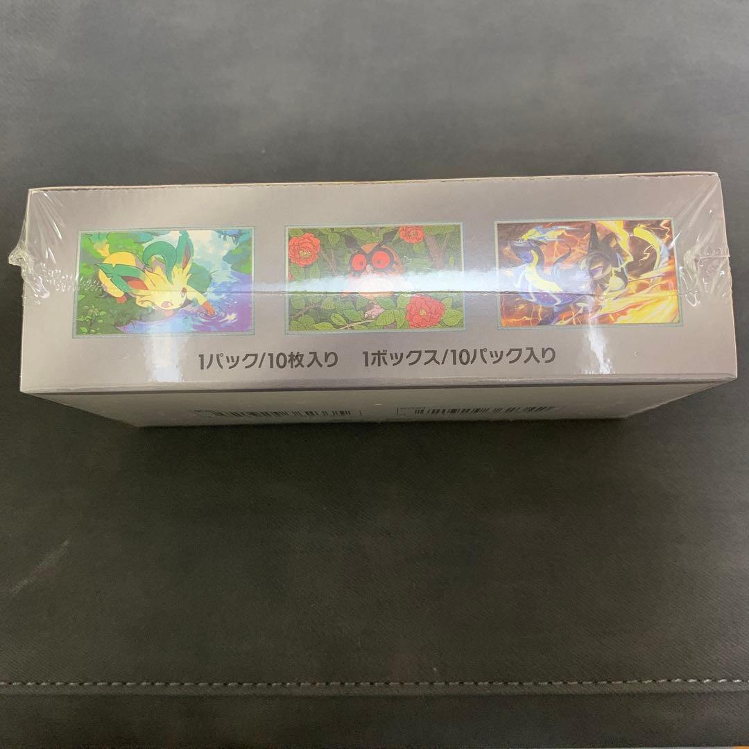 k*e様 300円スタート！！【新品・未開封】テラスタルフェスexシュリンク付き