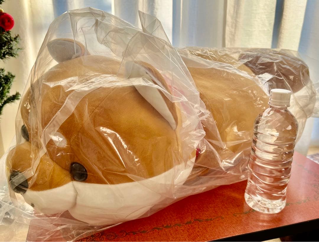 【新品】ハッピーまめしば特賞 柴犬 ぬいぐるみ 大きい